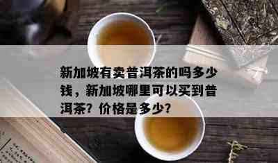 新加坡有卖普洱茶的吗多少钱，新加坡哪里可以买到普洱茶？价格是多少？