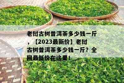 老挝古树普洱茶多少钱一斤，【2023最新价】老挝古树普洱茶多少钱一斤？全网更低价在这里！