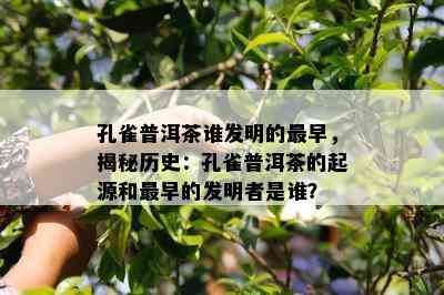 孔雀普洱茶谁发明的最早，揭秘历史：孔雀普洱茶的起源和最早的发明者是谁？