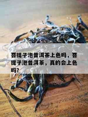 菩提子泡普洱茶上色吗，菩提子泡普洱茶，真的会上色吗？