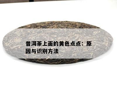 普洱茶上面的黄色点点：原因与识别方法