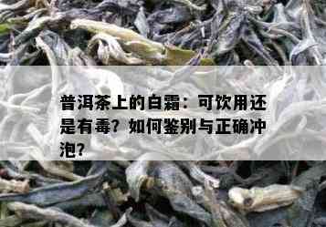 普洱茶上的白霜：可饮用还是有？如何鉴别与正确冲泡？