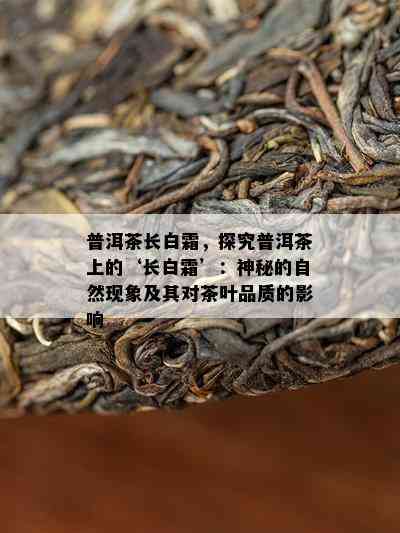 普洱茶长白霜，探究普洱茶上的‘长白霜’：神秘的自然现象及其对茶叶品质的影响