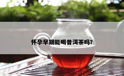 怀孕早期能喝普洱茶吗？