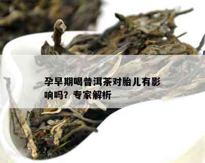 孕早期喝普洱茶对胎儿有影响吗？专家解析