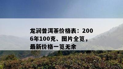 龙润普洱茶价格表：2006年100克、图片全览，最新价格一览无余