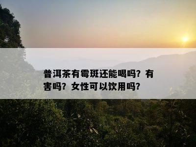 普洱茶有霉斑还能喝吗？有害吗？女性可以饮用吗？