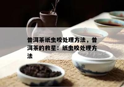 普洱茶纸虫咬处理方法，普洱茶的救星：纸虫咬处理方法