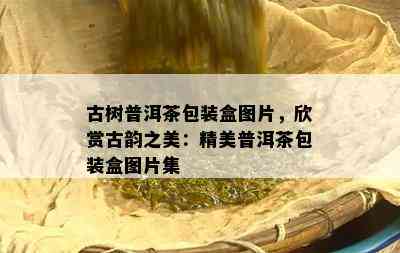 古树普洱茶包装盒图片，欣赏古韵之美：精美普洱茶包装盒图片集