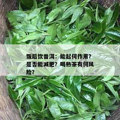 饭后饮普洱：能起何作用？是否能减肥？喝熟茶有何风险？