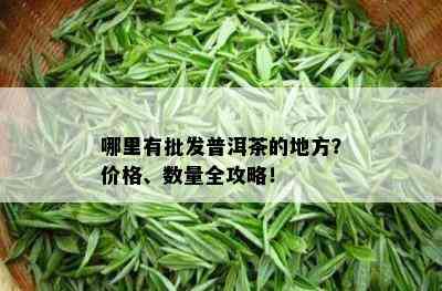 哪里有批发普洱茶的地方？价格、数量全攻略！