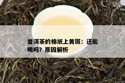 普洱茶的棉纸上黄斑：还能喝吗？原因解析