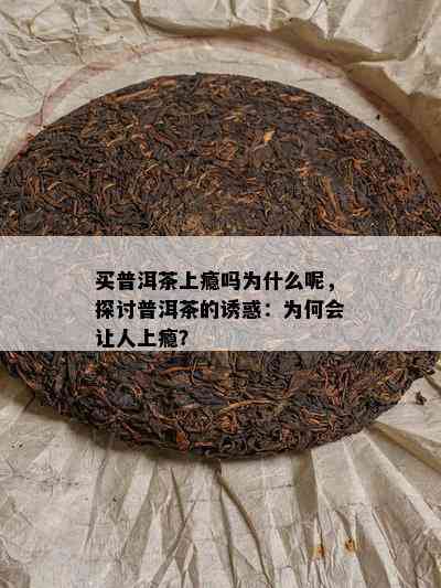 买普洱茶上瘾吗为什么呢，探讨普洱茶的诱惑：为何会让人上瘾？