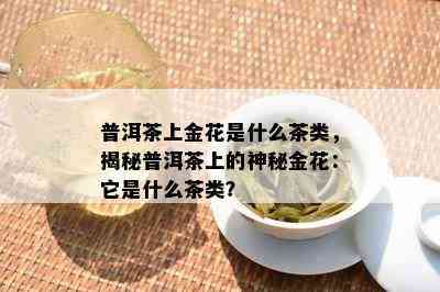 普洱茶上金花是什么茶类，揭秘普洱茶上的神秘金花：它是什么茶类？