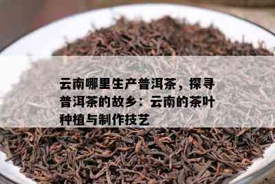 云南哪里生产普洱茶，探寻普洱茶的故乡：云南的茶叶种植与制作技艺