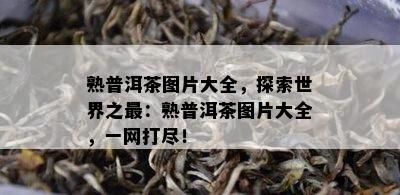 熟普洱茶图片大全，探索世界之最：熟普洱茶图片大全，一网打尽！