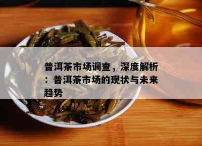 普洱茶市场调查，深度解析：普洱茶市场的现状与未来趋势