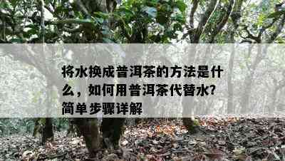 将水换成普洱茶的方法是什么，如何用普洱茶代替水？简单步骤详解