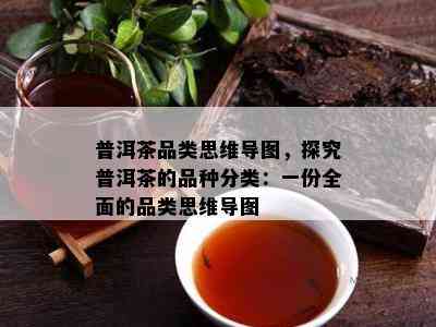 普洱茶品类思维导图，探究普洱茶的品种分类：一份全面的品类思维导图