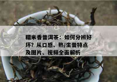 糯米香普洱茶：如何分辨好坏？从口感、熟/生普特点及图片、视频全面解析