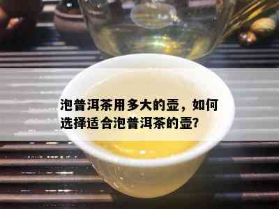 泡普洱茶用多大的壶，如何选择适合泡普洱茶的壶？