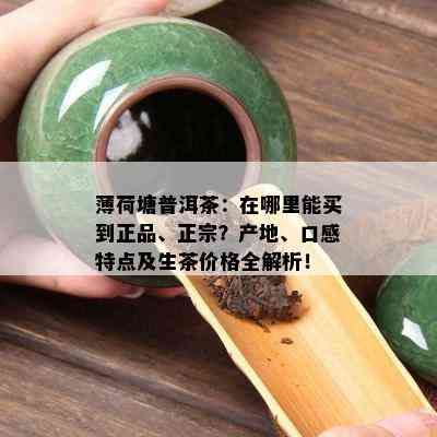 薄荷塘普洱茶：在哪里能买到正品、正宗？产地、口感特点及生茶价格全解析！