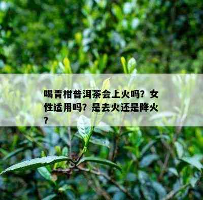 喝青柑普洱茶会上火吗？女性适用吗？是去火还是降火？