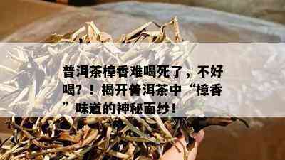 普洱茶樟香难喝死了，不好喝？！揭开普洱茶中“樟香”味道的神秘面纱！