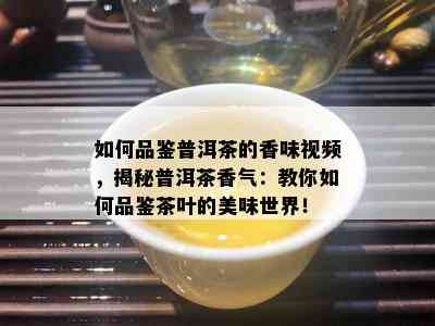 如何品鉴普洱茶的香味视频，揭秘普洱茶香气：教你如何品鉴茶叶的美味世界！