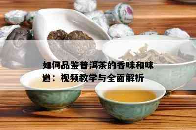 如何品鉴普洱茶的香味和味道：视频教学与全面解析