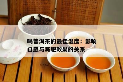 喝普洱茶的更佳温度：影响口感与减肥效果的关系