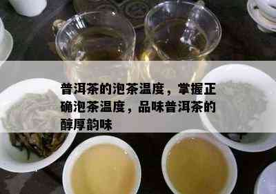 普洱茶的泡茶温度，掌握正确泡茶温度，品味普洱茶的醇厚韵味