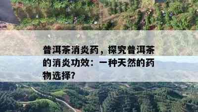 普洱茶消炎，探究普洱茶的消炎功效：一种天然的物选择？