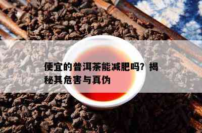 便宜的普洱茶能减肥吗？揭秘其危害与真伪