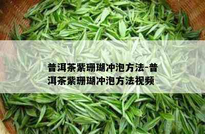 普洱茶紫珊瑚冲泡方法-普洱茶紫珊瑚冲泡方法视频