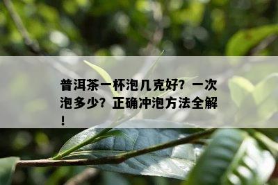 普洱茶一杯泡几克好？一次泡多少？正确冲泡方法全解！