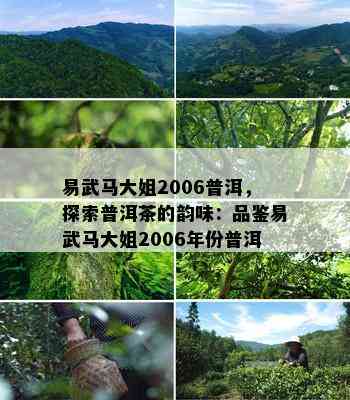 易武马大姐2006普洱，探索普洱茶的韵味：品鉴易武马大姐2006年份普洱