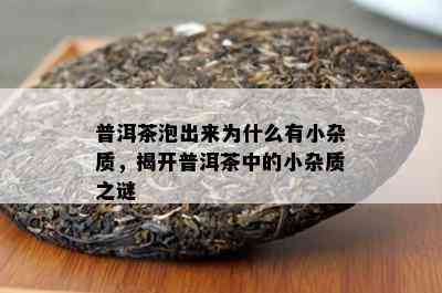 普洱茶泡出来为什么有小杂质，揭开普洱茶中的小杂质之谜