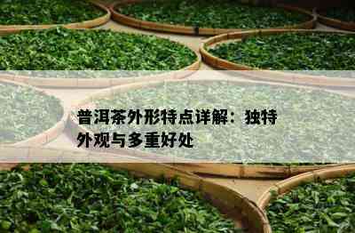 普洱茶外形特点详解：独特外观与多重好处