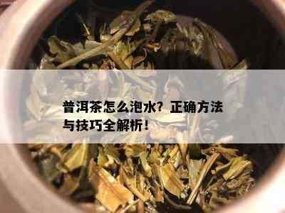 普洱茶怎么泡水？正确方法与技巧全解析！