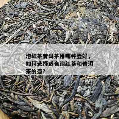 泡红茶普洱茶用哪种壶好，如何选择适合泡红茶和普洱茶的壶？