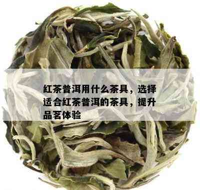 红茶普洱用什么茶具，选择适合红茶普洱的茶具，提升品茗体验