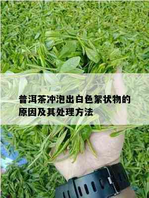 普洱茶冲泡出白色絮状物的原因及其处理方法