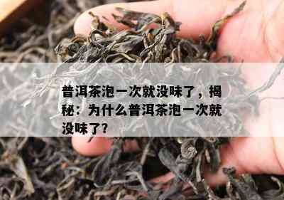 普洱茶泡一次就没味了，揭秘：为什么普洱茶泡一次就没味了？