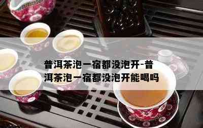 普洱茶泡一宿都没泡开-普洱茶泡一宿都没泡开能喝吗