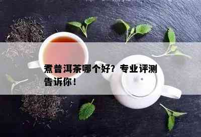 煮普洱茶哪个好？专业评测告诉你！