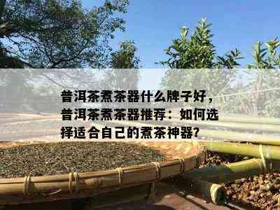 普洱茶煮茶器什么牌子好，普洱茶煮茶器推荐：如何选择适合自己的煮茶神器？