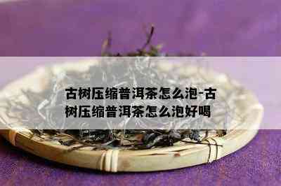 古树压缩普洱茶怎么泡-古树压缩普洱茶怎么泡好喝