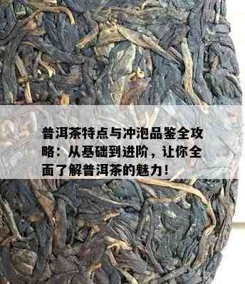 普洱茶特点与冲泡品鉴全攻略：从基础到进阶，让你全面了解普洱茶的魅力！