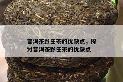 普洱茶野生茶的优缺点，探讨普洱茶野生茶的优缺点